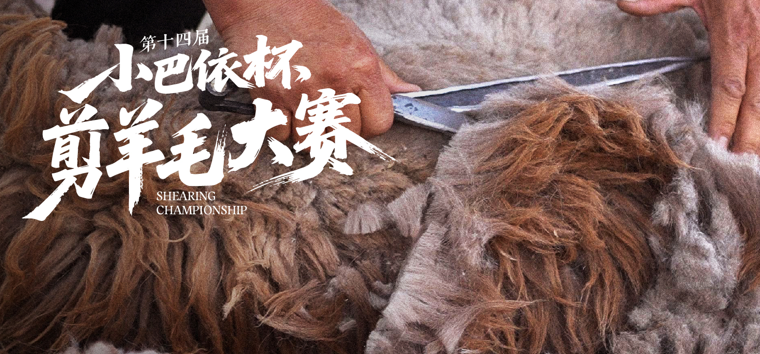 十四载匠心传承，1&prime;35&Prime;巅峰对决！2025&ldquo;小巴依杯&rdquo;剪羊毛大赛燃爆现场！